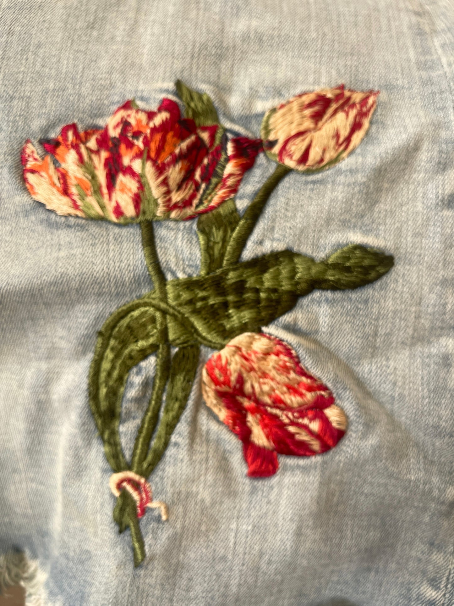 Driftwood Eva Embroidered Floral Raw Hem Flare Jeans - Size 32